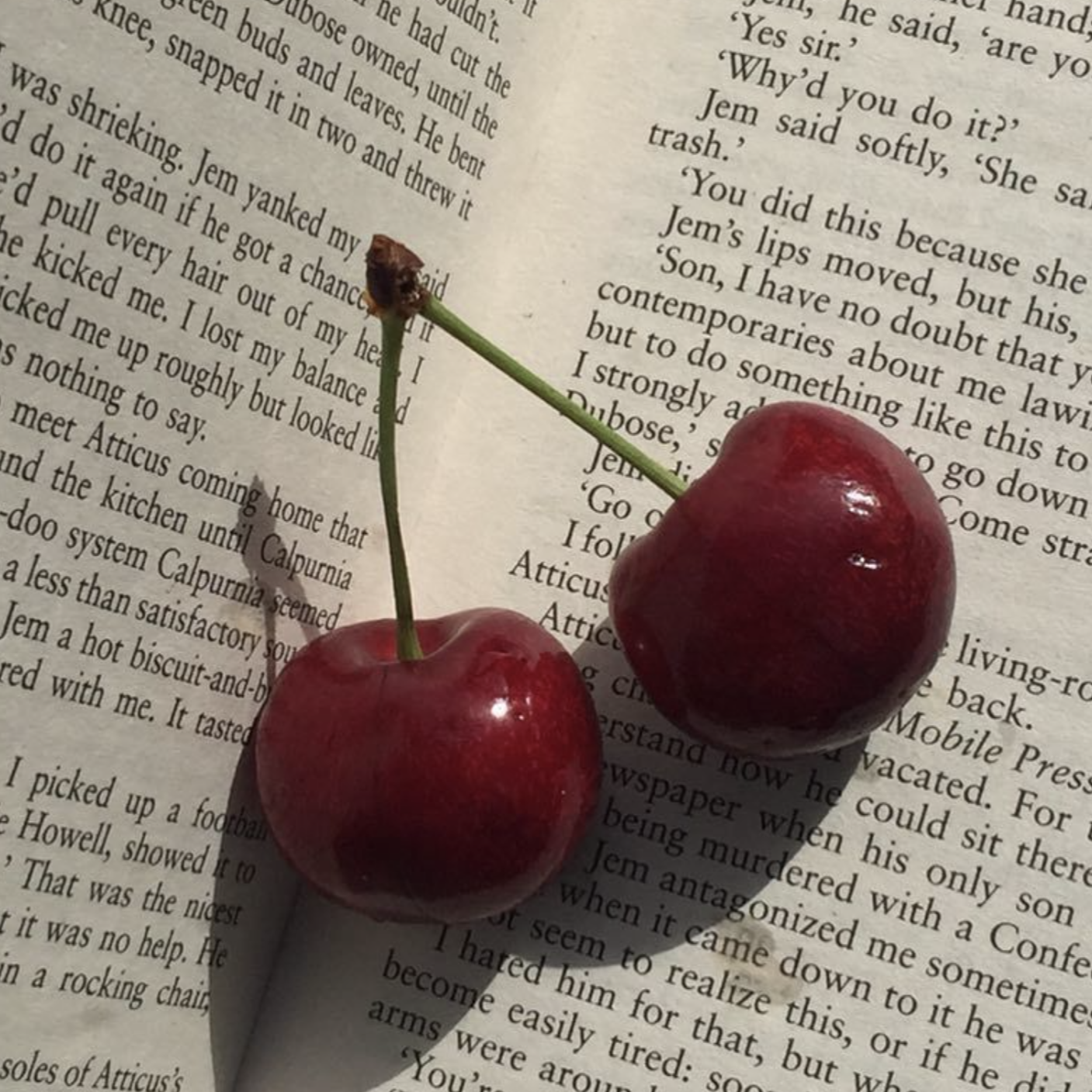 cherry